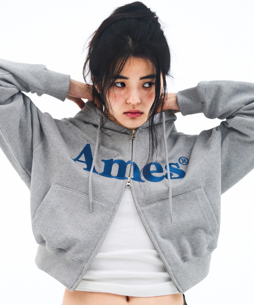 AMESWORLDWIDE（アメスワールドワイド）の「BASIC LOGO HOODIE ZIP UP GREY（パーカー・レディース・その他・LARGE/MEDIUM/SMALL）」の5枚目の写真