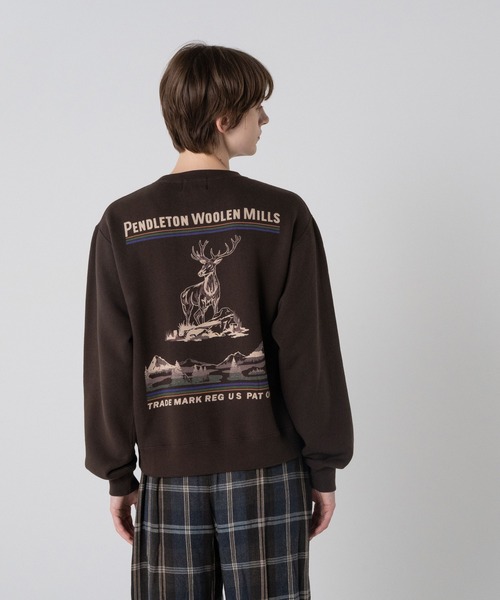 PENDLETON(ペンドルトン)の「吊り裏毛 バックグラフィック スウェット(スウェット・メンズ・ブラウン/ブラック/ライトグレー系/Cobalt/サックスブルー系・X-LARGE/MEDIUM/LARGE)」の3枚目の写真