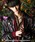 glambiOj́uGiorno Giovanna ska JKT / WmEWo@[iXJWPbgyWW̊Ȗ`R{[VACeziXJWjvbubN