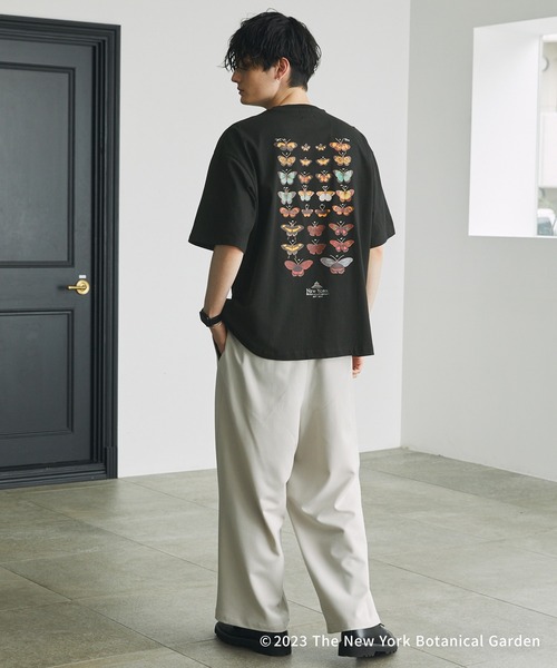 DECOdequis1985 カットソー　ボタニカル 柄シャツ ボタニカル柄 オープンカラーシャツ[品番：DCTW0004011