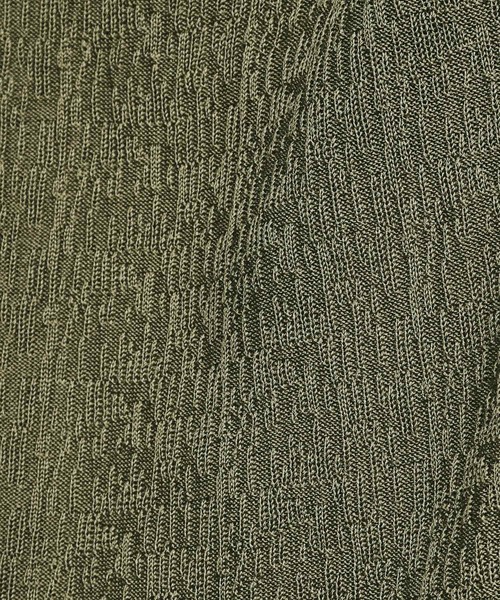 tk.TAKEO KIKUCHI（ティーケータケオキクチ）の「◆スキッパーニットポロシャツ（Tシャツ/カットソー・レディース・オフホワイト/ブラック/グリーン系・66）」の16枚目の写真