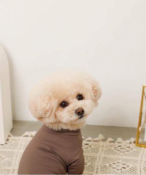 mon chéri 犬服 XLサイズ ベージュ セール】[moncheri モンシェリ] 冷感防虫ロンパース / 犬 犬服