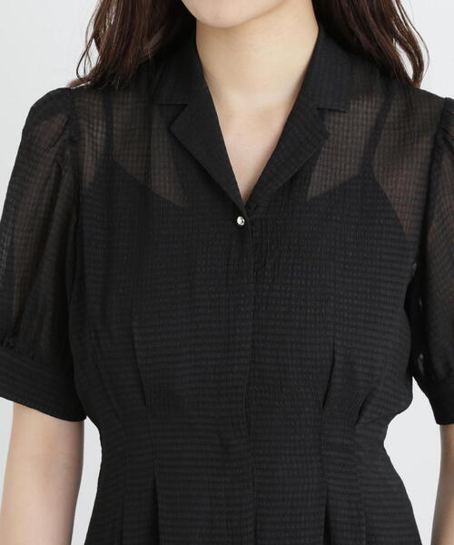 PROPORTION BODY DRESSING（プロポーションボディドレッシング）の「シアーシャツワンピース / 1215140512（ワンピース・レディース・グレー/ブラック・SMALL/MEDIUM）」の14枚目の写真