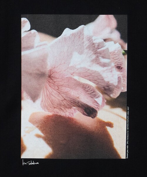 AEWEN MATOPH(イウエン マトフ)の「<Kei Sakakura for AEWEN MATOPH>フォトTシャツ Sweet pea vein(Tシャツ/カットソー・レディース・ホワイト/ブラック・FREE)」の19枚目の写真