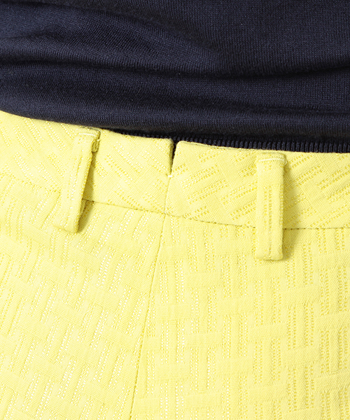 Demi-Luxe BEAMS（デミルクス ビームス）の「INCOTEX / スリム ラメジャカード クロップドパンツ（その他パンツ・レディース・イエロー/ネイビー・44/38/40/42）」の18枚目の写真