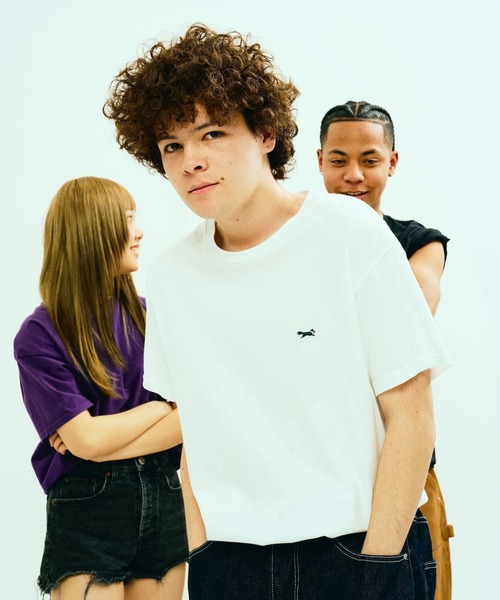 PENNEYS(ぺニーズ)の「【PENNEY'S/ペニーズ】FOX BASIC CREW SS TEE Tシャツ/半袖(Tシャツ/カットソー・メンズ・パープル/ホワイト/ライトブルー/グレー/サンドベージュ/ブラック/ネイビー/グリーン/ダークブラウン/ライトピンク・LARGE/MEDIUM/SMALL/X-LARGE)」の11枚目の写真
