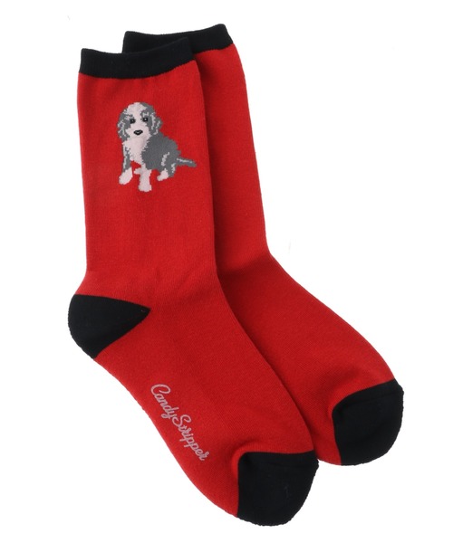 Candy Stripper（キャンディストリッパー）の「PUPPY ソックス（ソックス/靴下・レディース・アイボリー/ブラック/レッド・FREE）」の3枚目の写真