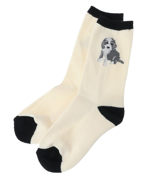 Candy Stripper（キャンディストリッパー）の「PUPPY ソックス（ソックス/靴下・レディース・アイボリー/ブラック/レッド・FREE）」の4枚目の写真