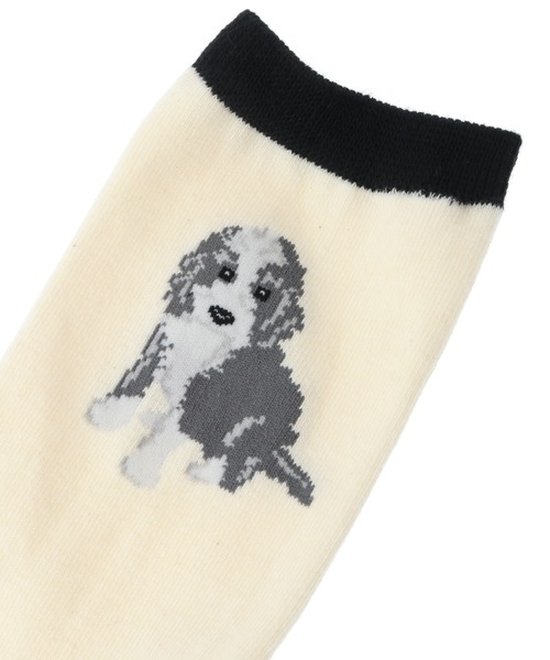 Candy Stripper（キャンディストリッパー）の「PUPPY ソックス（ソックス/靴下・レディース・アイボリー/ブラック/レッド・FREE）」の5枚目の写真