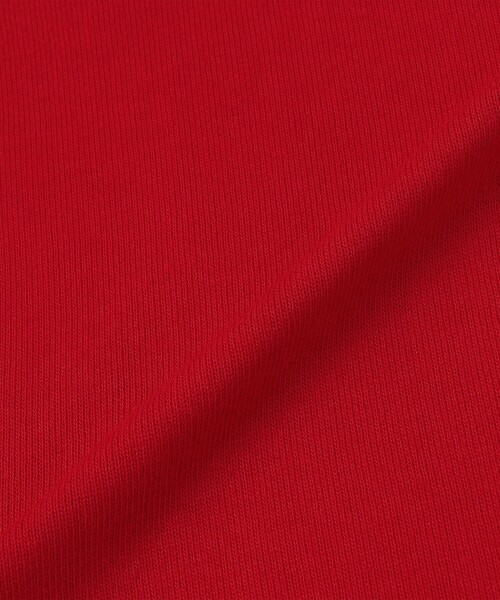 SAINT JAMES(セントジェームス)の「SAINT JAMES: OUESSANT LOOSE(Tシャツ/カットソー・メンズ・レッド/ナチュラル・6/5)」の9枚目の写真
