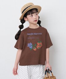 CIAOPANIC TYPY(�`���I�p�j�b�N�e�B�s�[)�́yKIDS�z���u�A�\�[�g��TEE�yAMALFI�z(T�V���c/�J�b�g�\�[)