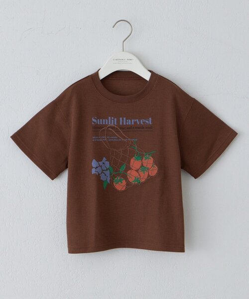 CIAOPANIC TYPY（チャオパニックティピー）の「【KIDS】リブアソート柄TEE【AMALFI】（Tシャツ/カットソー・キッズ・アイボリー/ブラウン・110/130/150）」の2枚目の写真