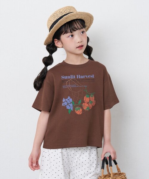 CIAOPANIC TYPY（チャオパニックティピー）の「【KIDS】リブアソート柄TEE【AMALFI】（Tシャツ/カットソー・キッズ・アイボリー/ブラウン・110/130/150）」の5枚目の写真