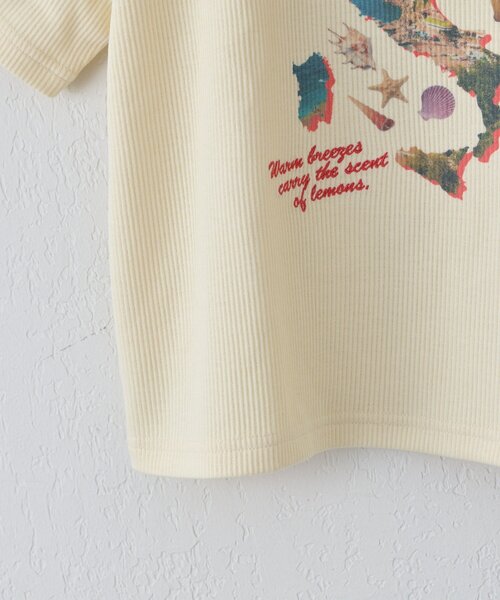 CIAOPANIC TYPY(チャオパニックティピー)の「【KIDS】リブアソート柄TEE【AMALFI】(Tシャツ/カットソー・キッズ・アイボリー/ブラウン・110/130/150)」の3枚目の写真