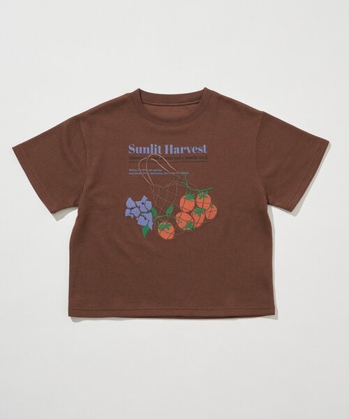 CIAOPANIC TYPY(チャオパニックティピー)の「【KIDS】リブアソート柄TEE【AMALFI】(Tシャツ/カットソー・キッズ・アイボリー/ブラウン・110/130/150)」の4枚目の写真