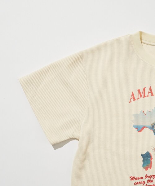 CIAOPANIC TYPY(チャオパニックティピー)の「【KIDS】リブアソート柄TEE【AMALFI】(Tシャツ/カットソー・キッズ・アイボリー/ブラウン・110/130/150)」の11枚目の写真