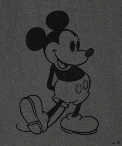 LOWRYS FARM(ローリーズファーム)の「MICKEY/リンガーT 903290(Tシャツ/カットソー・レディース・ブルー/ホワイト/グレー・FREE)」の17枚目の写真