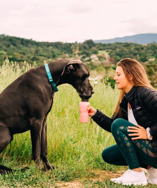nihonikuji(二ホンイクジ)の「Auto Dog Mug 650ml(その他ペットグッズ)」|ライトピンク