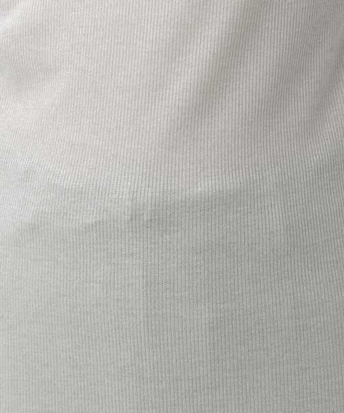Elura（エルーラ）の「ラメタートル／105299（Tシャツ/カットソー・レディース・ライトグレー/ホワイト/ベージュ・FREE）」の14枚目の写真