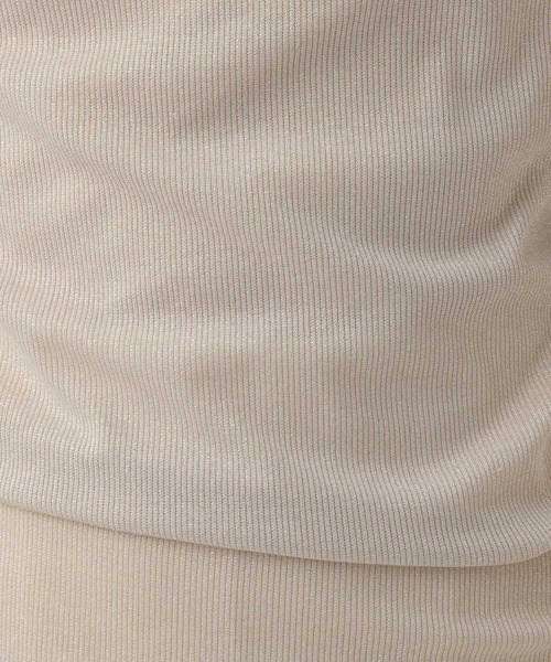Elura（エルーラ）の「ラメタートル／105299（Tシャツ/カットソー・レディース・ライトグレー/ホワイト/ベージュ・FREE）」の16枚目の写真