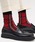 FRED PERRYitbhy[j́uTartan Socks^^[^`FbN\bNXi\bNX/Cjvbbh