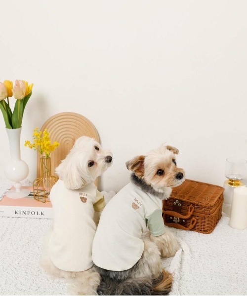 GELATO PIQUE キャリー moncheri ハーネス S 冷感 GELATO PIQUE