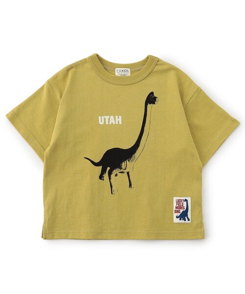 セール】【ジュニア対応】DINO 3柄プリント半袖Tシャツ（Tシャツ