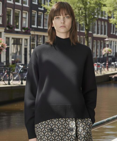 DRESSTERIOR(ドレステリア)の「ミドルゲージハイネックプルオーバー(ニット/セーター・レディース・ブラック/サンドベージュ/パープル/レッド系1・34/36/38)」の2枚目の写真