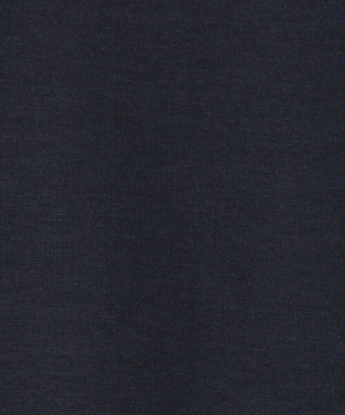 SUNSPEL(サンスペル)の「SUNSPEL MTSH0197 コットンタートルネック ロングスリーブTシャツ(Tシャツ/カットソー・メンズ・ネイビー/ホワイト・L/M/S)」の7枚目の写真