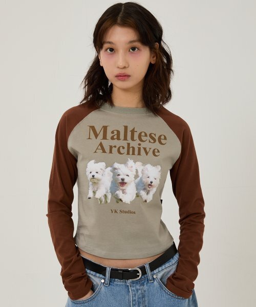 WaiKei(ワイケイ)の「マルチーズアーカイブ ラグランロングスリーブTシャツ ミント(Tシャツ/カットソー・レディース・その他・2/0)」の1枚目の写真