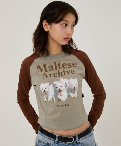 WaiKei(ワイケイ)の「マルチーズアーカイブ ラグランロングスリーブTシャツ ミント(Tシャツ/カットソー・レディース・その他・2/0)」の4枚目の写真