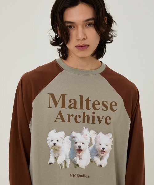 WaiKei(ワイケイ)の「マルチーズアーカイブ ラグランロングスリーブTシャツ ミント(Tシャツ/カットソー・レディース・その他・2/0)」の5枚目の写真