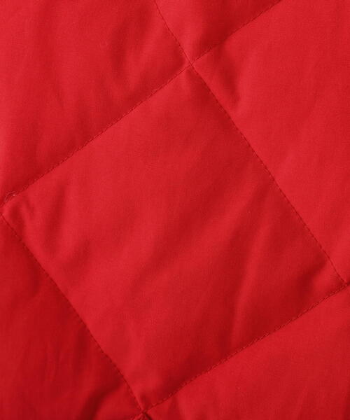 AVIREX（アヴィレックス）の「《AVIREX × Eddie Bauer》SKY LINER SPECIAL EDITION / スカイライナー / アヴィレックス / エディバウアー（ダウンジャケット/コート・メンズ・オリーブ系/ブラック/レッド・2XL/XL/M/L）」の9枚目の写真