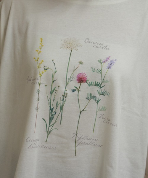 axes femme(アクシーズファム)の「アソートPTフリルTシャツ(Tシャツ/カットソー・レディース・イエロー/チャコール/ホワイト・FREE)」の7枚目の写真