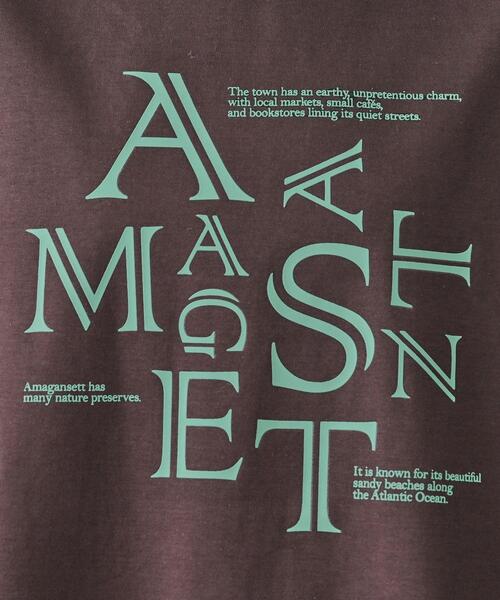 Dessin（デッサン）の「【洗える】美光沢カットソーロゴTシャツ（Tシャツ/カットソー・レディース・ベージュ系その他7/ブラウン系その他5/ホワイト系その他5・03/02/01）」の11枚目の写真