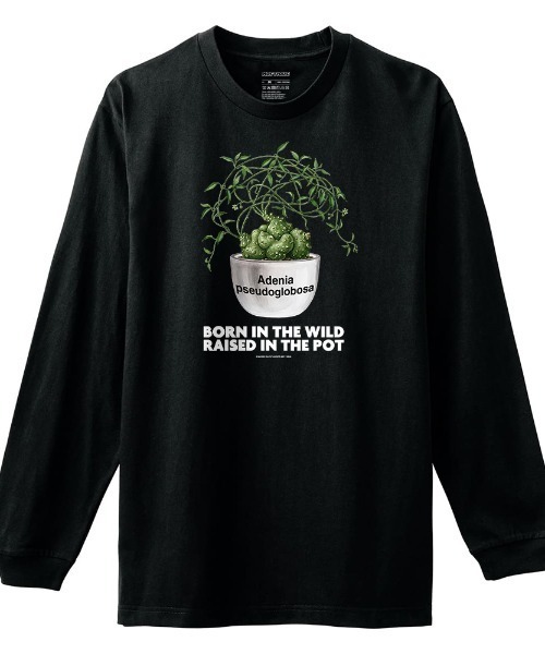 Moftique(モフティック)の「Moftique(モフティック) 長袖Tシャツ アデニア・プセウド・グロボーサ コーデックス 塊根植物 多肉植物 プリント Tシャツ 長袖 ロンT ロングTシャツ トップス カットソー メンズ レディース ユニセックス 春 秋(Tシャツ/カットソー・メンズ・ホワイト/ブラック・M/L/XL)」の1枚目の写真