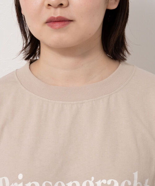 NOLLEY’S(ノーリーズ)の「◇【WEB限定】USA COTTON フレンチTシャツ(Tシャツ/カットソー・レディース・ベージュ/グリーン/オフホワイト/チャコールグレー・FREE)」の11枚目の写真