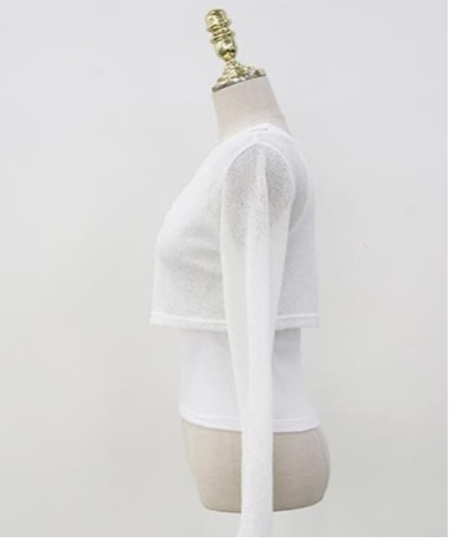 NANING9（ナンニング）の「NANING9 クロップドシアーカーディガン（カーディガン/ボレロ・レディース・ブラック/ベージュ/アイボリー・FREE）」の16枚目の写真