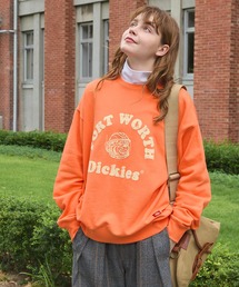 Dickies/ディッキーズ 裏毛アソート ロゴ＆グラフィック ルーズスウェットプルオーバー