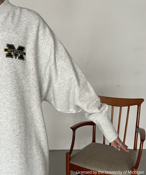 GOOD ROCK SPEED（グッドロックスピード）の「〈GOOD ROCK SPEED〉カレッジジップワンピース（ワンピース・レディース・ブラック/グレー・FREE）」の6枚目の写真