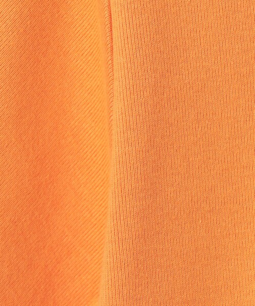 6(ROKU)＞コットン クロップド Tシャツ（Tシャツ/カットソー