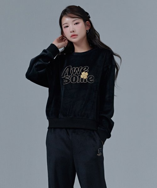 CHASECULT(チェイスカルト)の「女性起毛刺繍スウェットTシャツ-CFRG5174D03(スウェット・レディース・ブラック・85/90/95)」の1枚目の写真