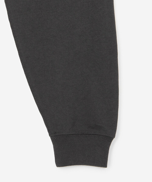 DANTON(ダントン)の「DANTON | クルーネック 長袖Tシャツ SOLID WOMEN(Tシャツ/カットソー・レディース・ブラウン/ダークグレー・M/S)」の6枚目の写真