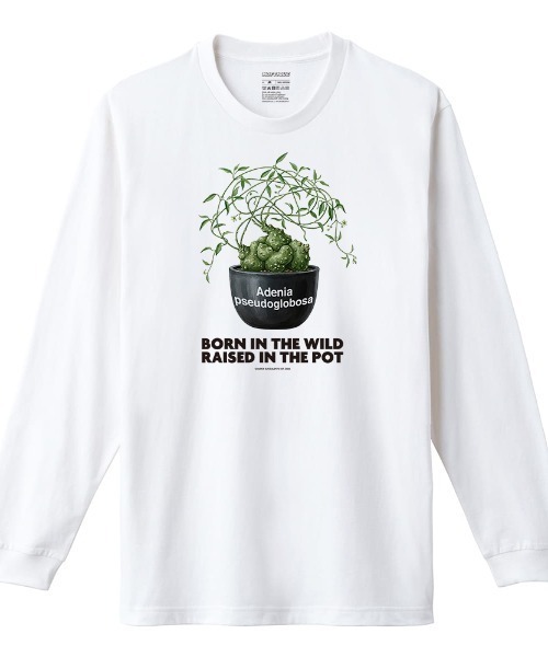 Moftique(モフティック)の「Moftique(モフティック) 長袖Tシャツ アデニア・プセウド・グロボーサ コーデックス 塊根植物 多肉植物 プリント Tシャツ 長袖 ロンT ロングTシャツ トップス カットソー レディース ユニセックス 春 秋(Tシャツ/カットソー・レディース・ホワイト/ブラック・XS/S)」の2枚目の写真