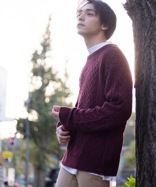 WEGO�i�E�B�S�[�j�́uWEGO/�P�[�u���N���[�l�b�N�Z�[�^�[�i�j�b�g/�Z�[�^�[�j�v�b���C��