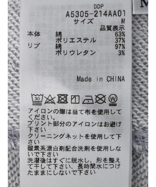 CRAFT STANDARD BOUTIQUE(クラフトスタンダードブティック)の「ddp TRICKARTスウェット_Patrick *(スウェット・メンズ・グレー・M/L)」の4枚目の写真