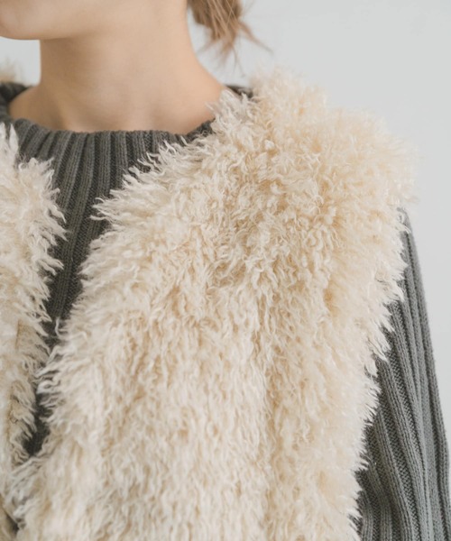 ITEMS URBANRESEARCH(アイテムズ アーバンリサーチ)の「ファーベスト(ベスト・レディース・チャコールグレー/ベージュ・FREE)」の17枚目の写真