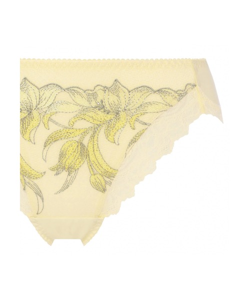 Triumph（トリンプ）の「レッドレーベル バイ トリンプ0113 レギュラーショーツ TR0113 Hikini（ショーツ・レディース・ベージュ/イエロー/グレー・L/M）」の10枚目の写真