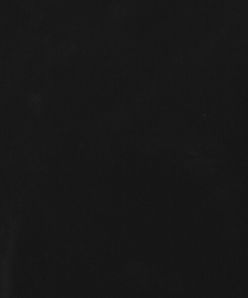 OPAQUE.CLIP（オペークドットクリップ）の「◆《CLASSY掲載》シアーベロアトップス【洗濯機洗い可】（Tシャツ/カットソー・レディース・ブラック/ブルーグリーン/オフホワイト/チャコールグレー・38/40/42）」の13枚目の写真