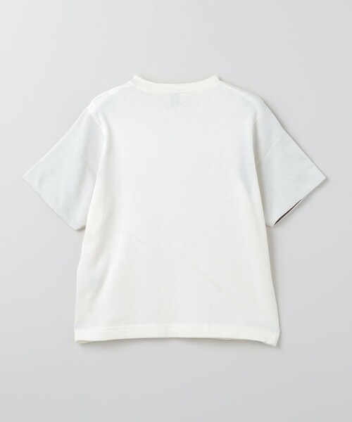 6（ロク）の「＜6(ROKU)＞オーガニックコットン カラー ショートスリーブ ニット プルオーバー（ニット/セーター・レディース・ネイビー/パープル/ホワイト・FREE）」の22枚目の写真